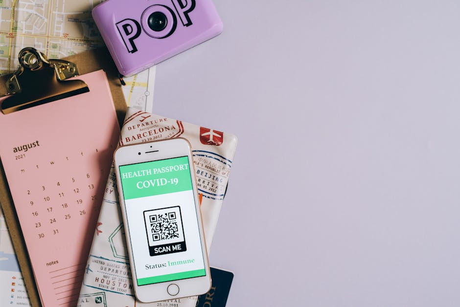 Эмиграция и иммиграция: ключевые аспекты и помощь в осуществлении планов