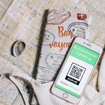 Эмиграция на ПМЖ: шаги к новой жизни за границей