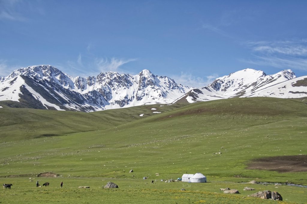 Оформление шенгенской визы в Европу