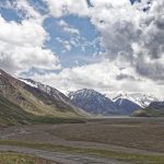 Эмиграция в Нидерланды из России