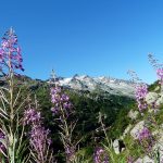 Получение визы в Грецию