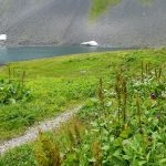 Оформление студенческой визы в Италию