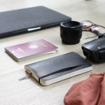 Эмиграция в США из России