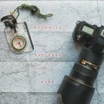 Иммиграция в Израиль: подробное руководство