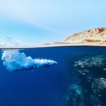 Эмиграция из России: популярные направления и услуги по оформлению документов