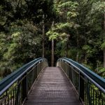 Получение ВНЖ в Европе через покупку недвижимости