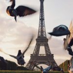 Иммиграция в Казахстан: возможности и перспективы для иностранцев