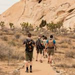 Как стать гражданином США