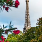 Как быстро получить гражданство другой страны