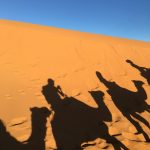 Эмиграция в Германию: подробное руководство