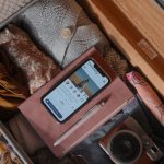 Получение вида на жительство в России