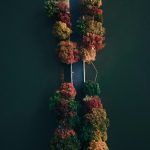 Быстрая эмиграция из России: лучшие варианты и страны для переезда