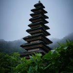 Услуги по оформлению виз и иммиграции