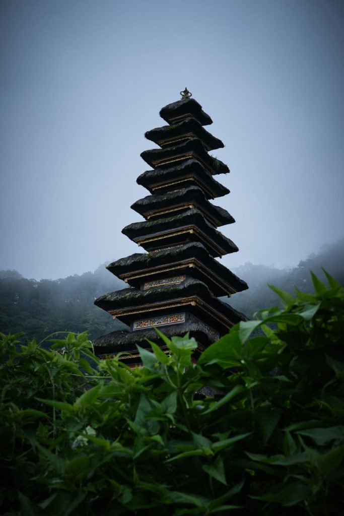 Услуги по оформлению виз и иммиграции