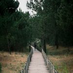 Как получить визу в Индию для граждан России